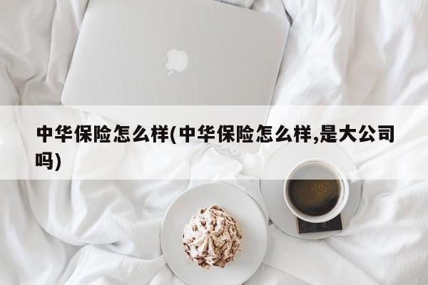 中华保险怎么样(中华保险怎么样,是大公司吗)
