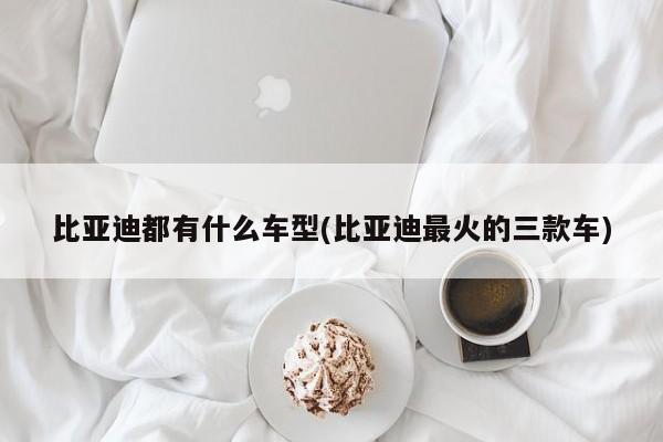 比亚迪都有什么车型(比亚迪最火的三款车)