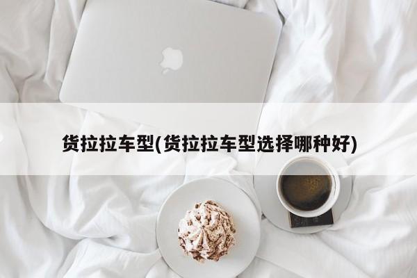 货拉拉车型(货拉拉车型选择哪种好)