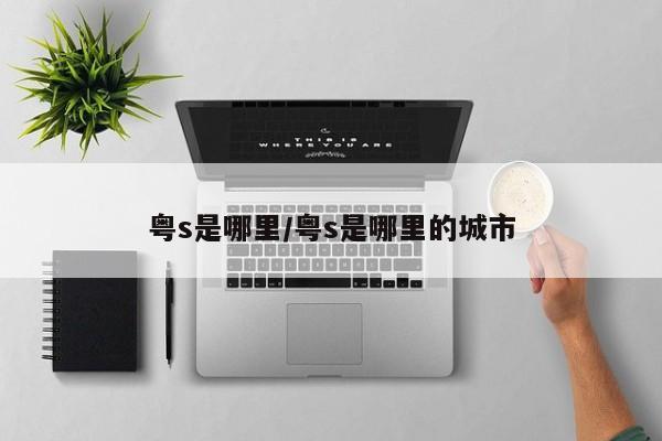 粤s是哪里/粤s是哪里的城市