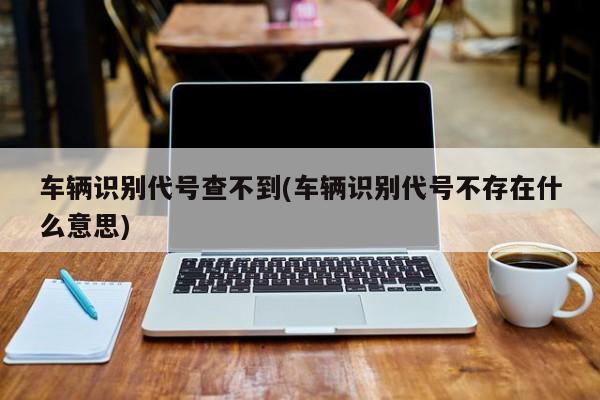 车辆识别代号查不到(车辆识别代号不存在什么意思)