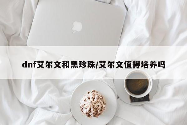 dnf艾尔文和黑珍珠/艾尔文值得培养吗