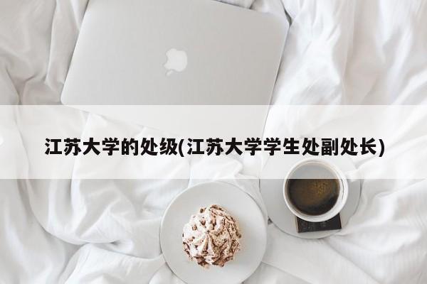 江苏大学的处级