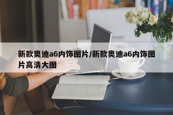 新款奥迪a6内饰图片/新款奥迪a6内饰图片高清大图