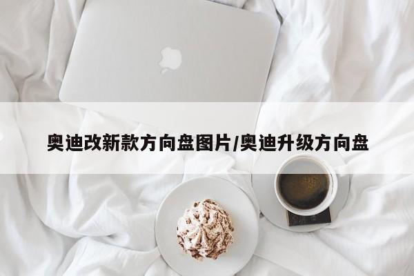 奥迪改新款方向盘图片