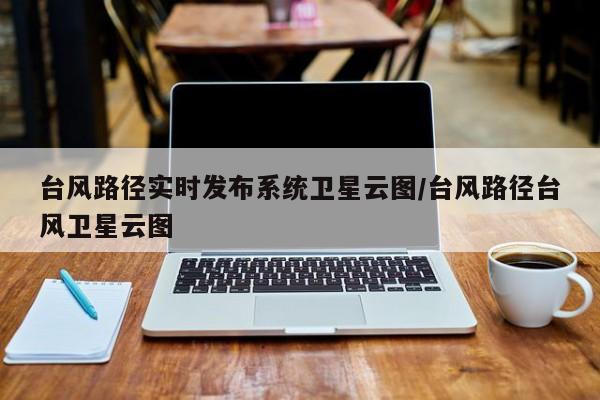 台风路径实时发布系统卫星云图/台风路径台风卫星云图